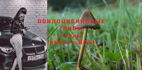 гидропоника Горно-Алтайск