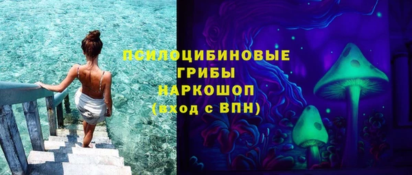 mdpv Горняк
