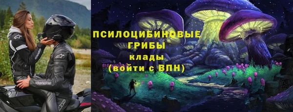 гидропоника Горно-Алтайск