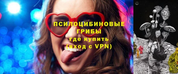 твердый Вяземский